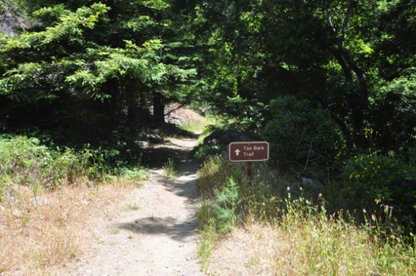 Tanbark Trail Sign