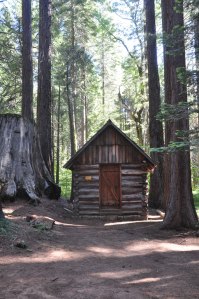 original log cabin, Nelder Grove sequoia, Sequoia National Forest, June 23 2012,  Kathryn Arnold