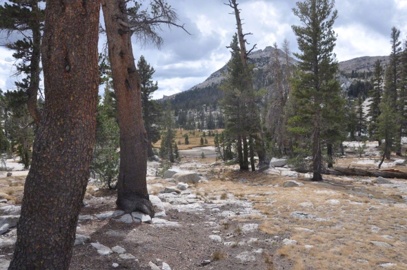 Along the way to Upper Cathedral Lake, sept 8, 2012. photo by kathryn arnold