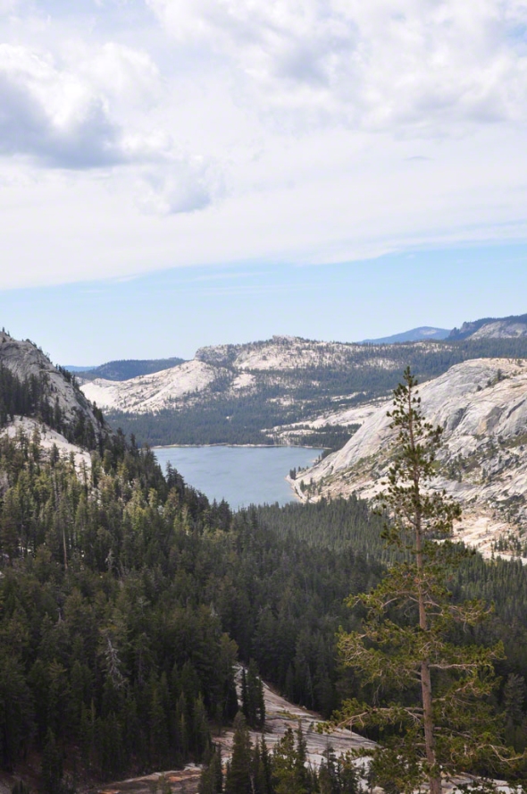 View of Tenaya Lake from Cathedral Lake on Sept 8, 2012, photo by kathryn arnold