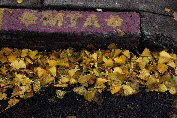 MTA by Kathryn Arnold